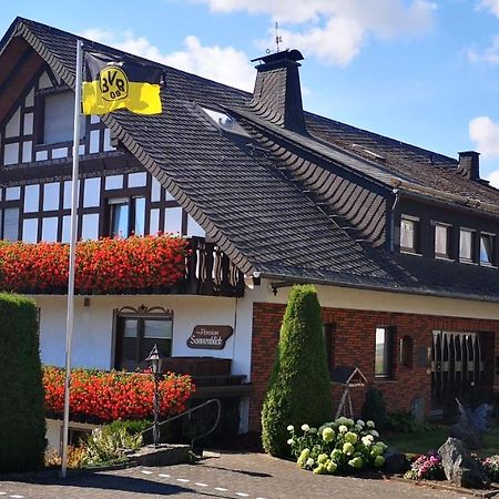 Pension Sonnenblick 温特贝格 外观 照片
